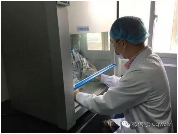 亲子鉴定不用去重庆了！库区DNA司法鉴定实验室在万州建成