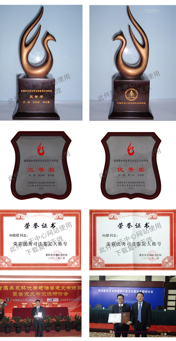 资质荣誉证书